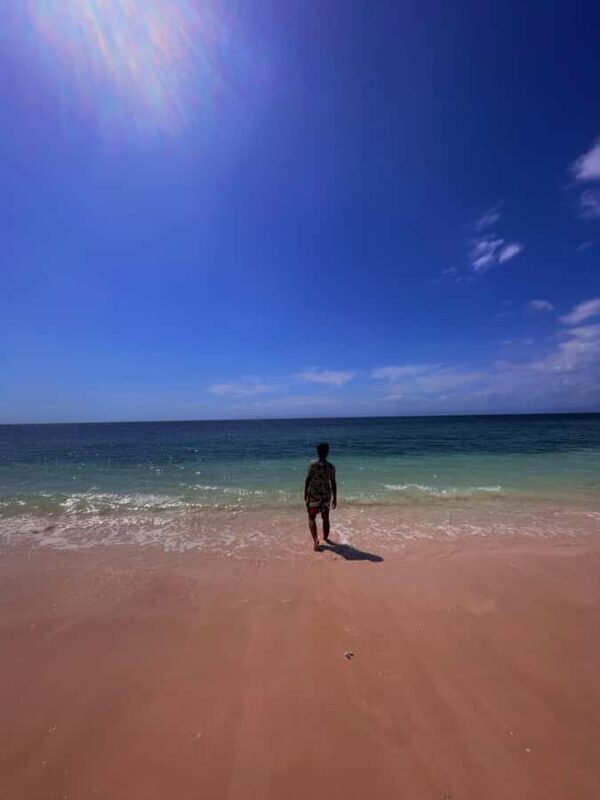 Lombok: Pink Beach Snorkeling Trip - Why This Tour Works Well