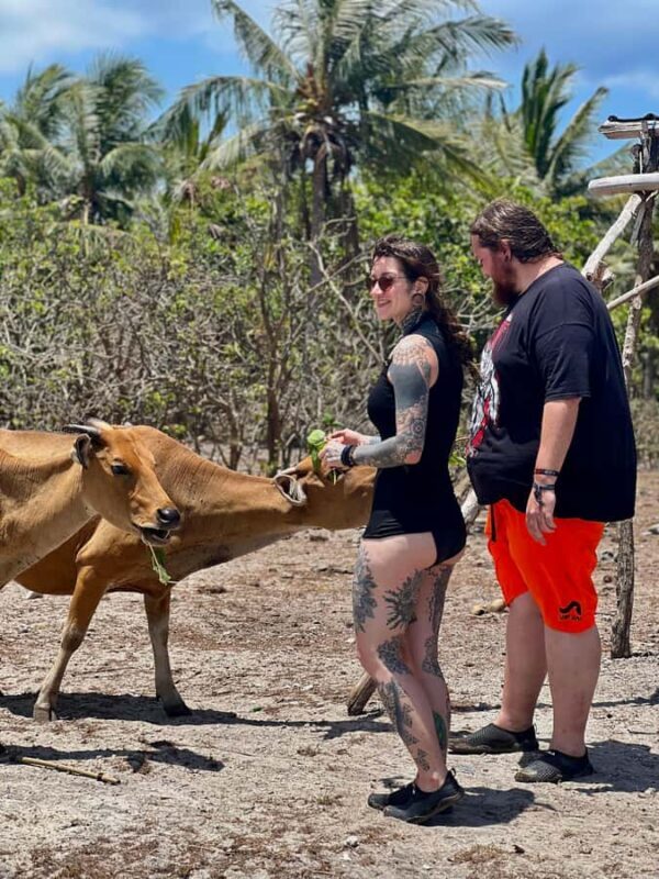 Lombok: Private day trip snorkeling in Secret Island - What to Expect During the Snorkeling Stops