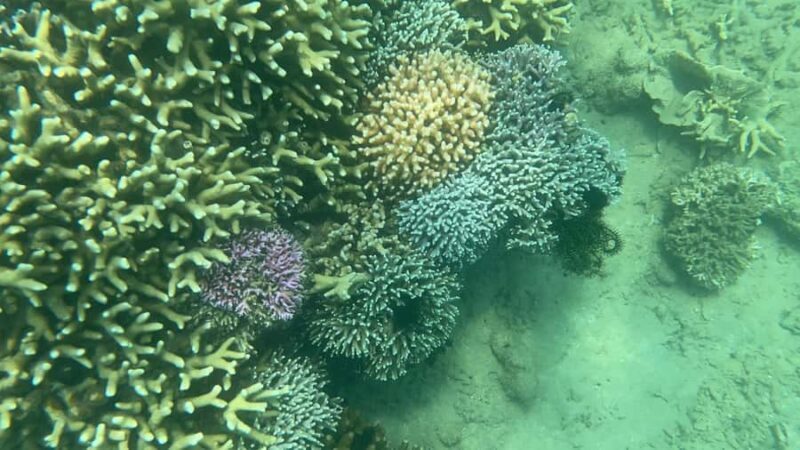 Lombok: Private day trip snorkeling in Secret Island - Frequently Asked Questions