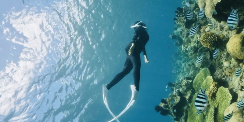 lombok-private-snorkeling-gili-nanggu-gili-sudak-gili-kedis