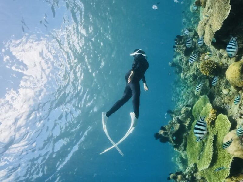 lombok-private-snorkeling-gili-nanggu-gili-sudak-gili-kedis