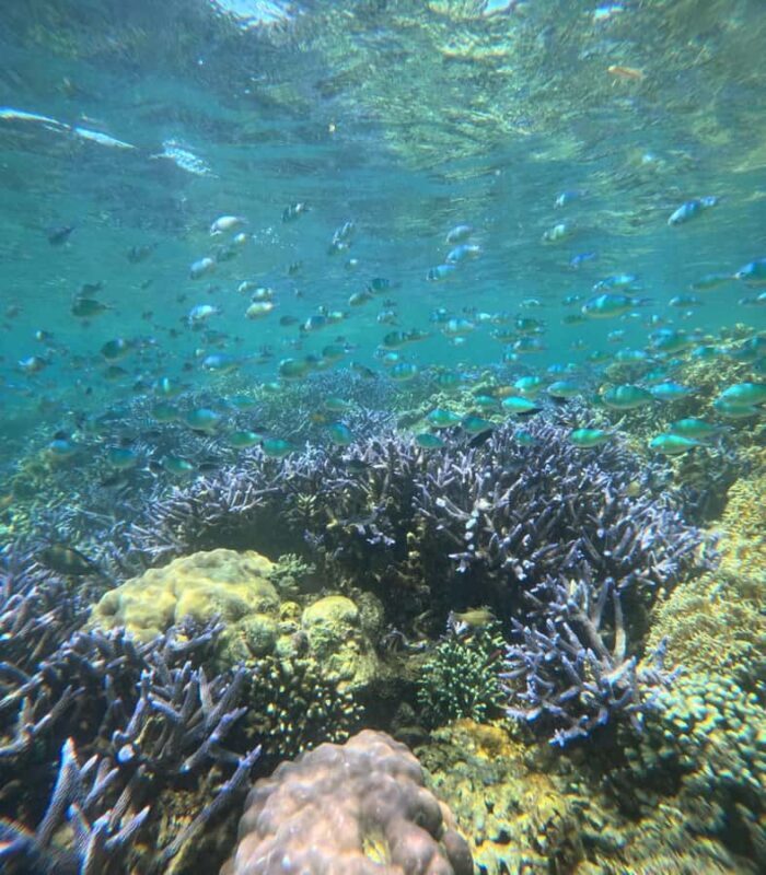 Lombok: Private Snorkeling Trip toGili Asahan, Rengit &Gilis - FAQ