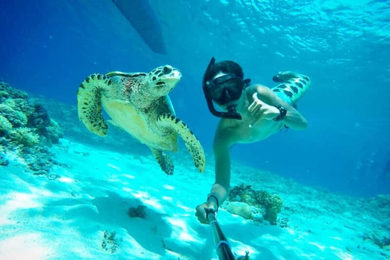 Lombok: Private Snorkeling,Gili Trawangan,Gili Meno,Gili Air - Discovering the Gili Islands: What to Expect from the Tour