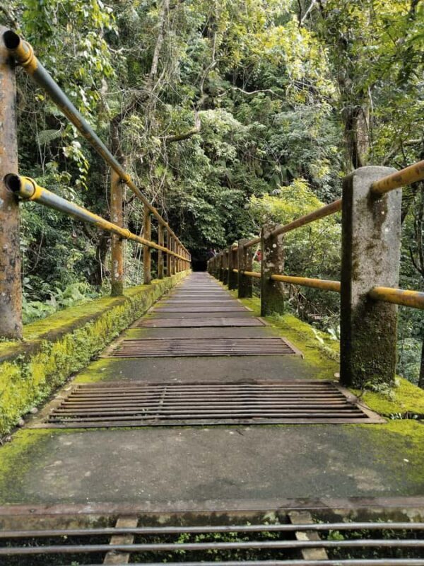 Lombok: Rice Field Terrace & Senaru Waterfalls Guided Tour - Key Points