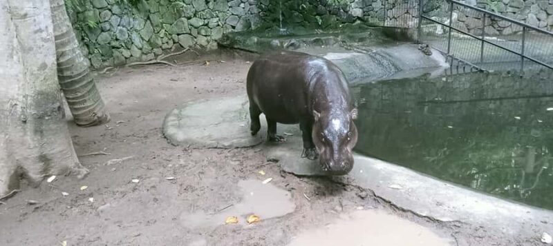 Lombok Safari Wildlife Park, Village and Waterfalls tour - Key Points