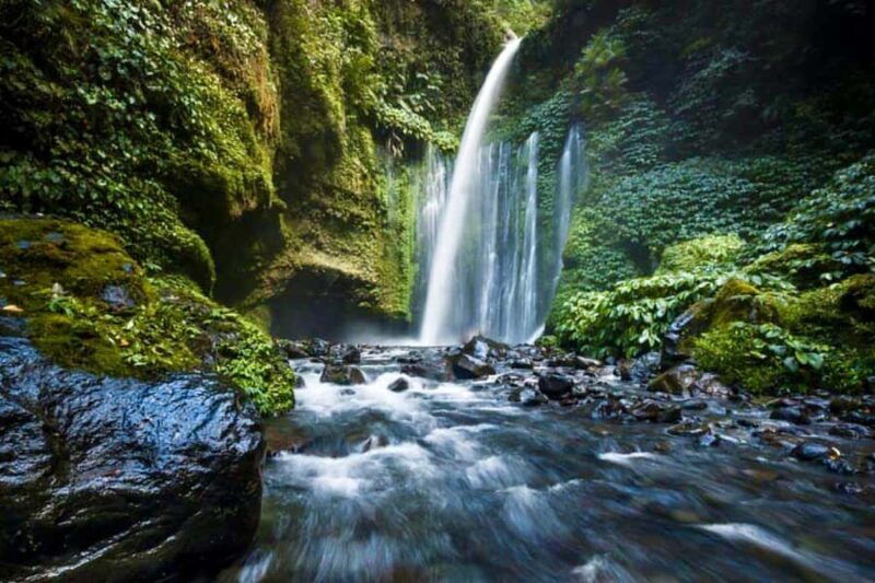 Lombok: Sendang Gile - Tiu Kelep & Selong Hills Sembalun - Key Points