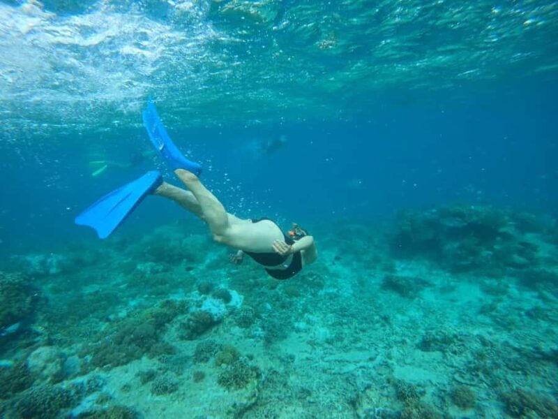 Lombok: Snorkeling & Island Hopping to The Southwest Gilis - Island Hopping Experience