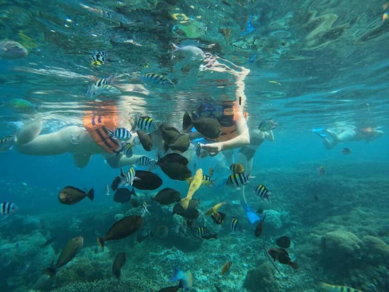 Lombok: Snorkeling & Island Hopping to The Southwest Gilis - Practical Tips and Considerations