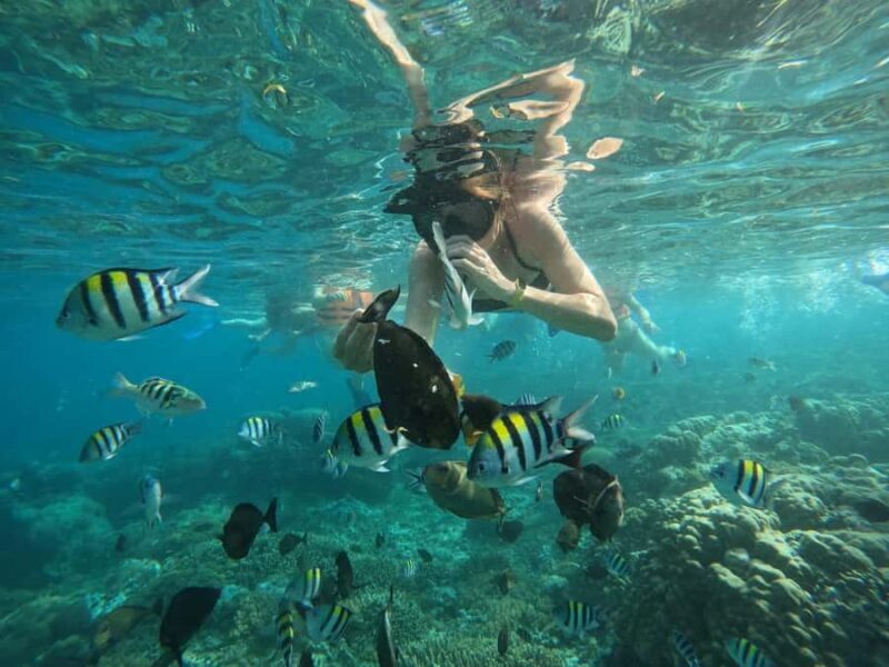 Lombok: Snorkeling & Island Hopping to The Southwest Gilis - Comparing Price and Value