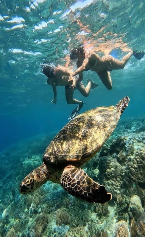Lombok Snorkeling to Gili Nanggu, Tangkong, Sudak and Kedis - An In-Depth Look at the Lombok Snorkeling Tour