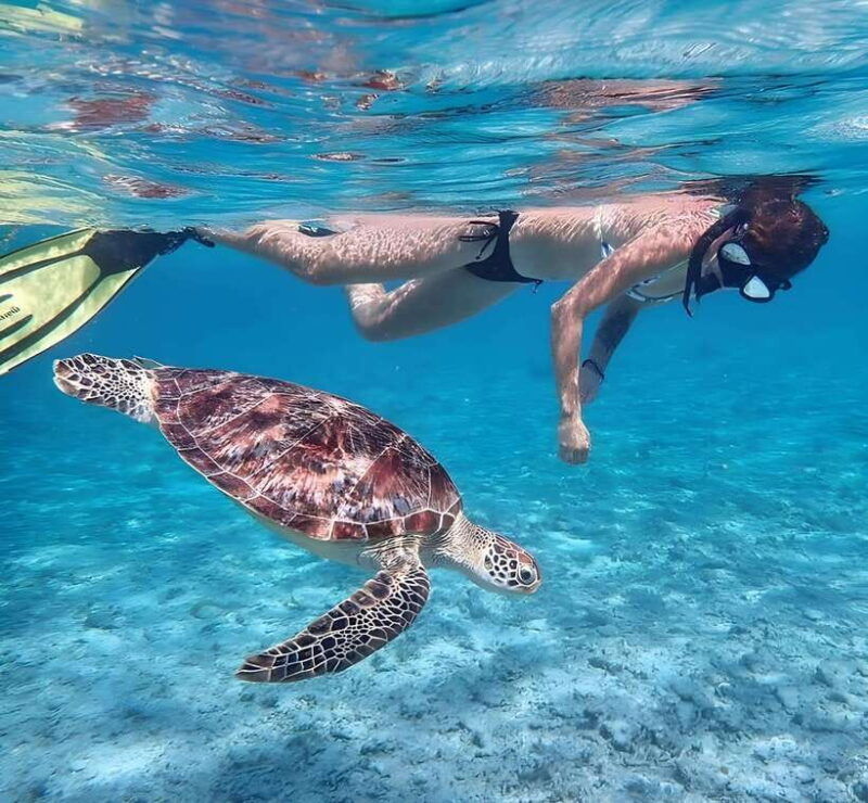 lombok-snorkeling-trip-gili-trawangan-meno-gili-air