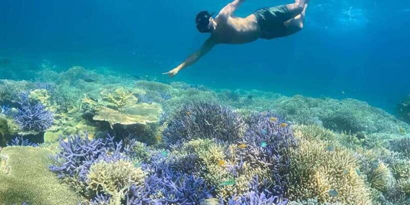 lombok-snorkling-trip-gili-nanggu-sudak-and-kedis