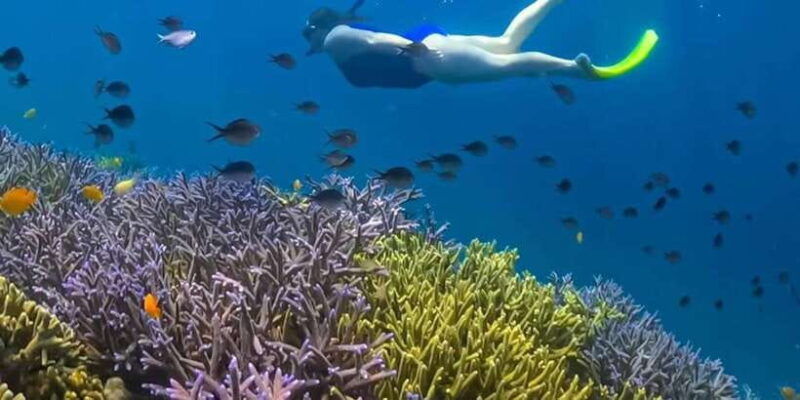 lombok-snorkling-trip-gili-nanggu-sudak-and-kedis