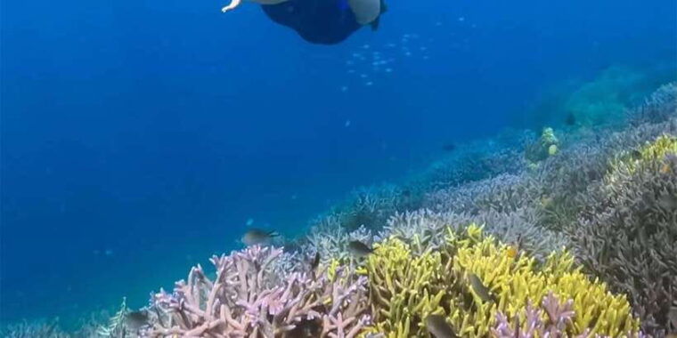 lombok-snorkling-trip-gili-nanggu-sudak-and-kedis