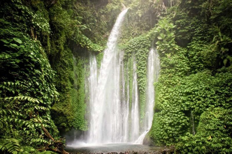 Lombok Spectacular: Waterfalls, Selong Hill & Pusuk Sembalun - Discovering Lombok: Waterfalls, Hills, and Mountainpanoramas in One Day