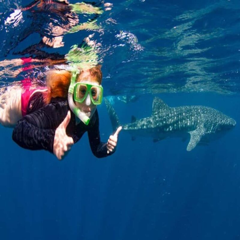Lombok Sumbawa Best Sharing 2D1N Whale Shark With Snorkeling - Exploring the Details of the Tour
