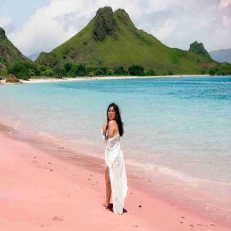 Lombok Sumbawa Sharing 2D1N Whale Shark With Snorkeling - Key Points