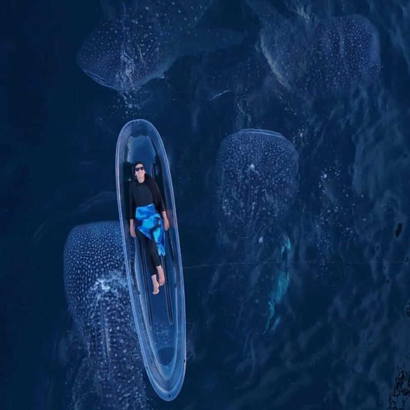 Lombok Sumbawa Sharing 2D1N Whale Shark With Snorkeling - Final Thoughts