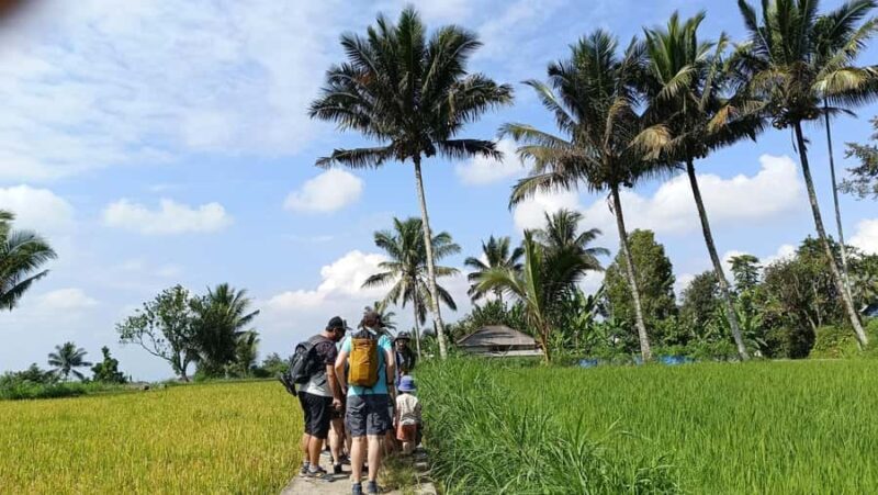 Lombok: Tetebatu Village and Rice Fields Guided Tour - Key Points