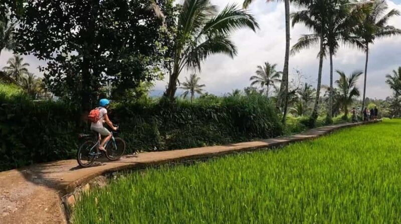Lombok: Tetebatu Village Tour with Lunch and Pickup - Who Will Love This Tour?