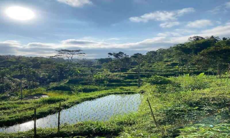 Lombok: Tetebatu Village Tour with Waterfalls & Lunch - Exploring the Heart of Lombok: What You Can Expect