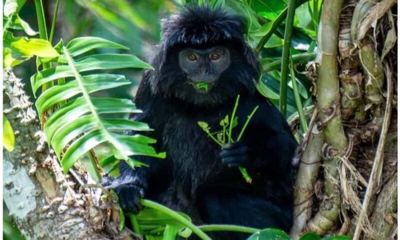 Lombok: Tetebatu Village Tour with Waterfalls & Lunch - Value and Practical Considerations