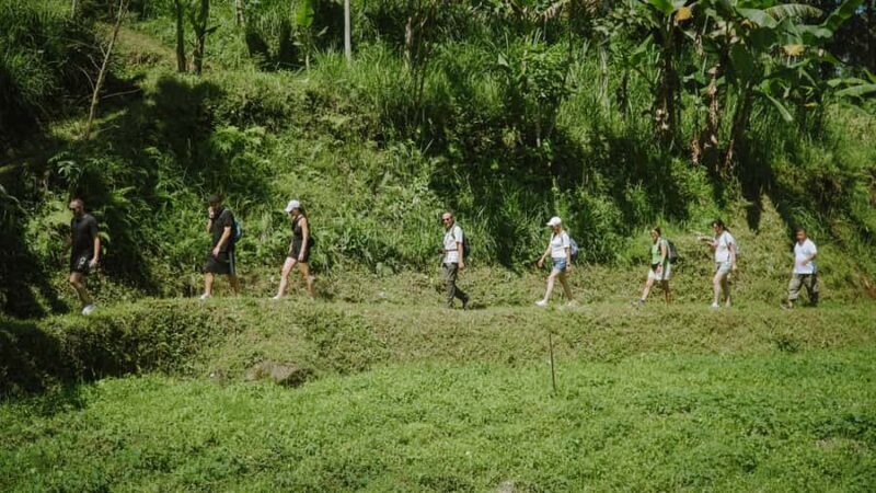 Lombok: Tetebatu Walk, Waterfall, Monkey Forest & Cooking - Practical Details and Tips