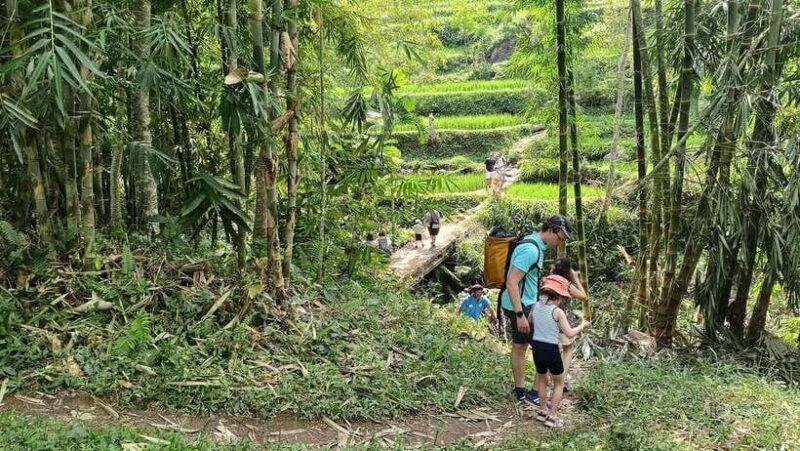 lombok-tetebatu-walking-tour-with-monkey-forest-waterfall