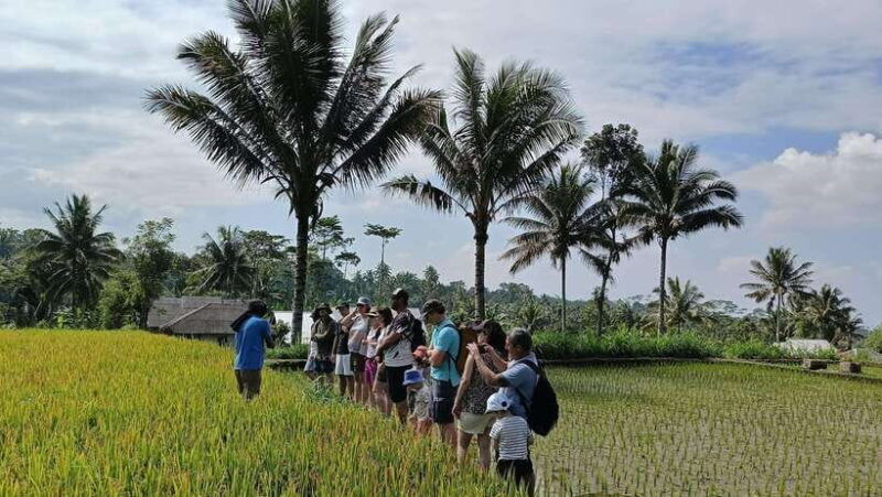 lombok-tetebatu-walking-tour-with-monkey-forest-waterfall