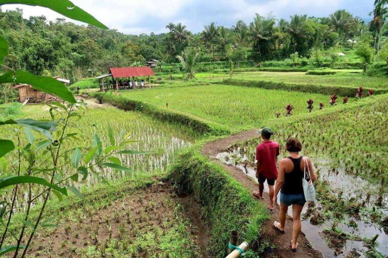 lombok-tetebatu-walking-tour-with-monkey-forest-waterfall