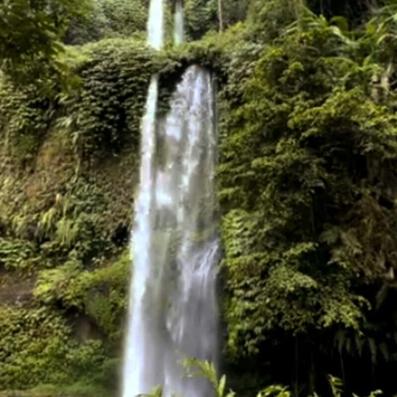 Lombok: Tiu Kelep Waterfall Tour and Sembalun Agro Tourism - Key Points