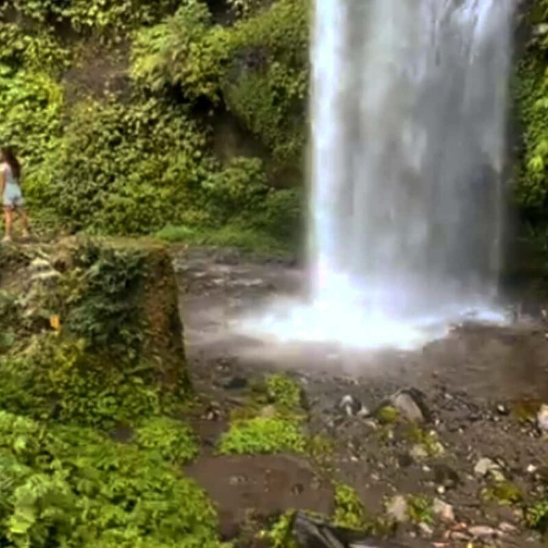 Lombok: Tiu Kelep Waterfall Tour and Sembalun Agro Tourism - Authentic Experience and Guide Insights
