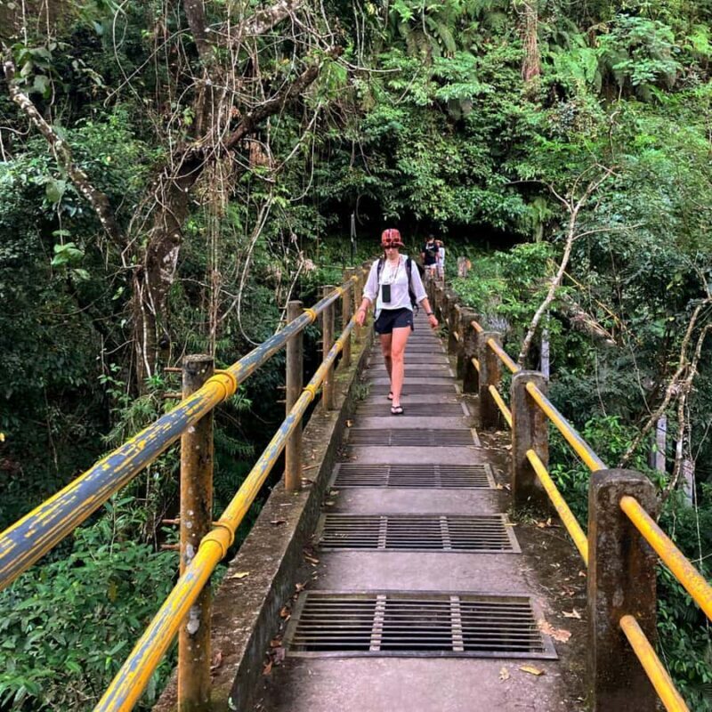 Lombok: Tiu Kelep Waterfall Tour and Sembalun Agro Tourism - The Sum Up