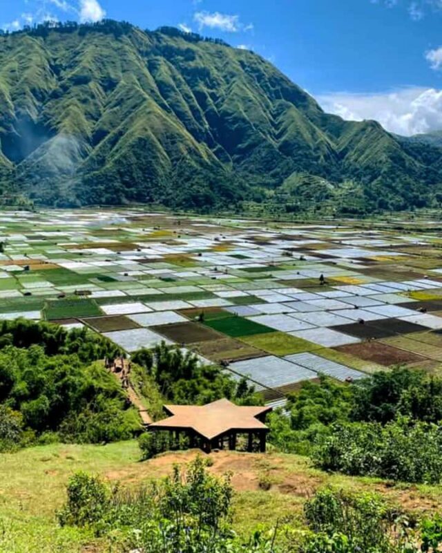 Lombok: Tiu Kelep Waterfall Tour and Sembalun Agro Tourism - FAQ