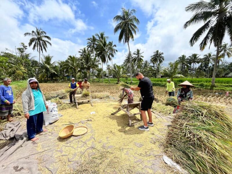 Lombok: Tour for Cruise Ship Passengers - Key Points