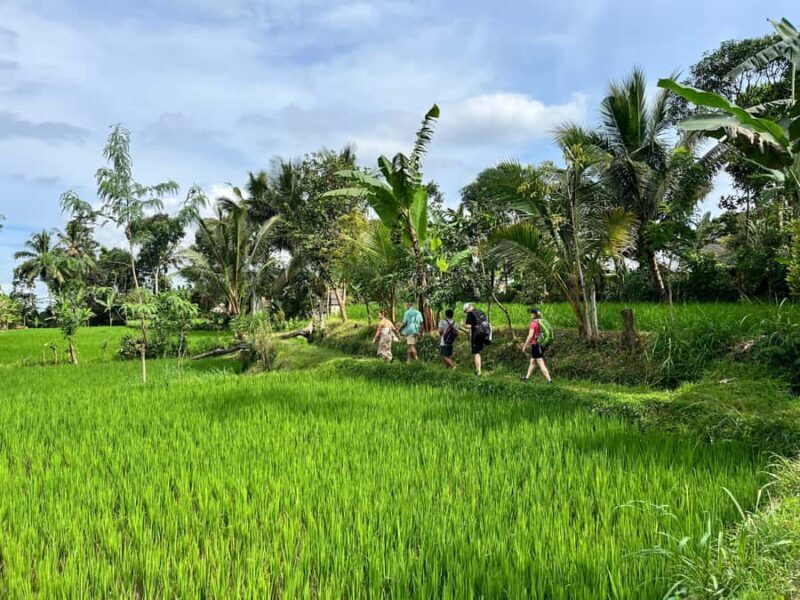 Lombok: Tour for Cruise Ship Passengers - What to Bring and Considerations