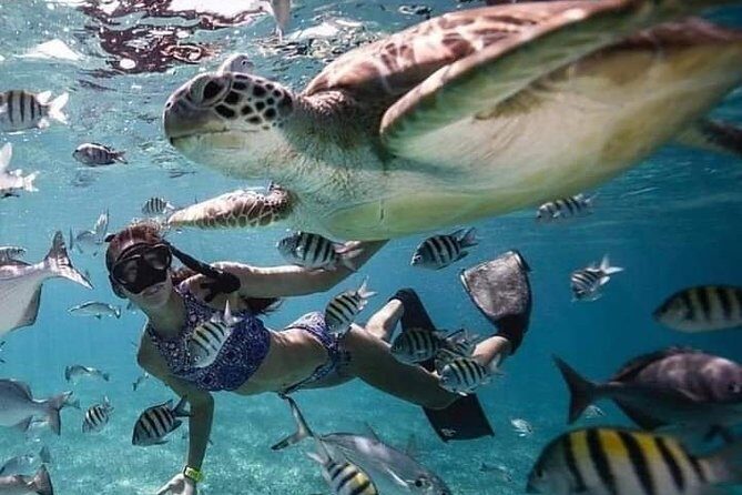 Lombok Tour Package, 4 Days 3 Nights - Frequently Asked Questions