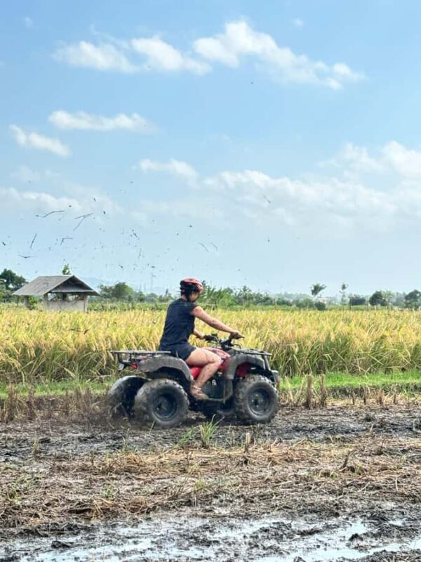 Lombok: Traditional and Adventure Experience - Key Points