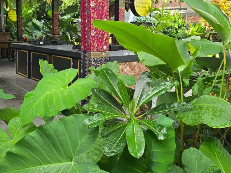 Lombok: Traditional Cooking Class by Mas Oppa - Why this experience offers real value