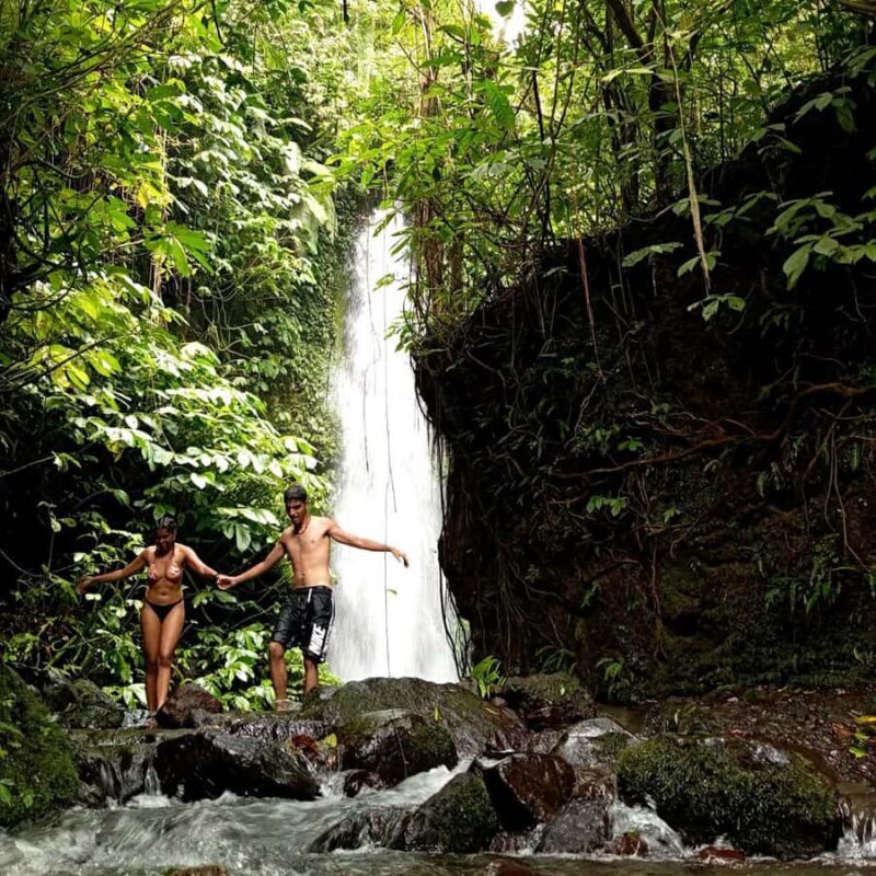 Lombok : Trip 4 Waterfalls,Hike through Rice Fields & Jungle - Authenticity and Experience Highlights