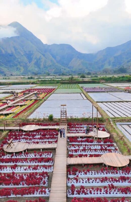 Lombok Twin Waterfall Escape: Sendang Gile & Tiu Kelep - FAQ