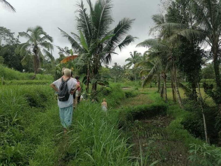 lombok-waterfall-benang-kelambu-rice-field-trip