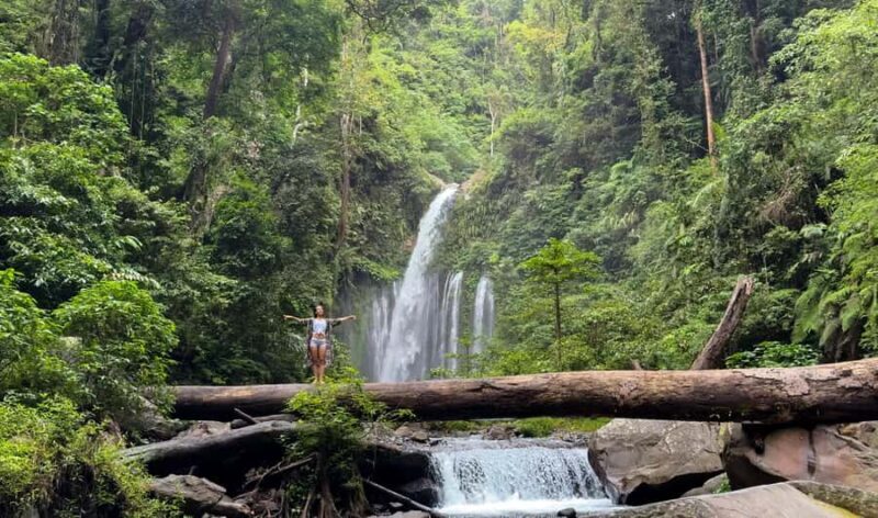 Lombok Waterfall Tour and Panorama Walk - Trek to Tiu Kelep Waterfall