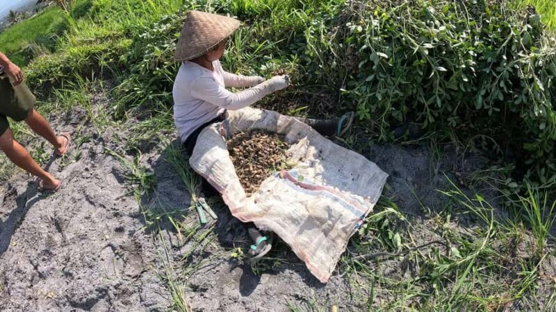 Lombok Waterfall Tour and Panorama Walk - How Does It Compare in Value?