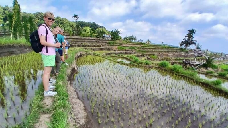 Lombok Waterfalls & Bukit Selong Private Tour - Exploring Lombok’s Natural Treasures