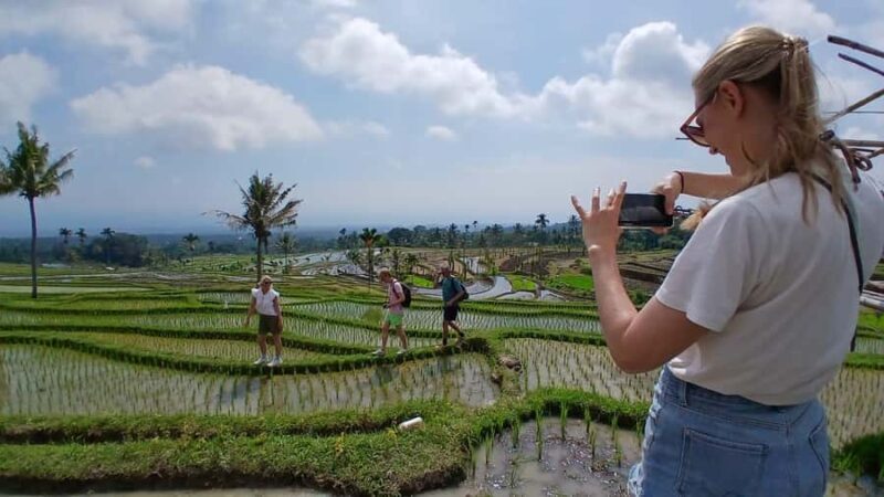 Lombok Waterfalls & Bukit Selong Private Tour - Final Thoughts: Who Should Consider This Tour?