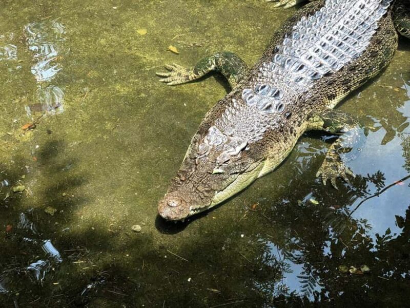 Lombok Wildlife Park: Admission Ticket - An In-Depth Look at Lombok Wildlife Park
