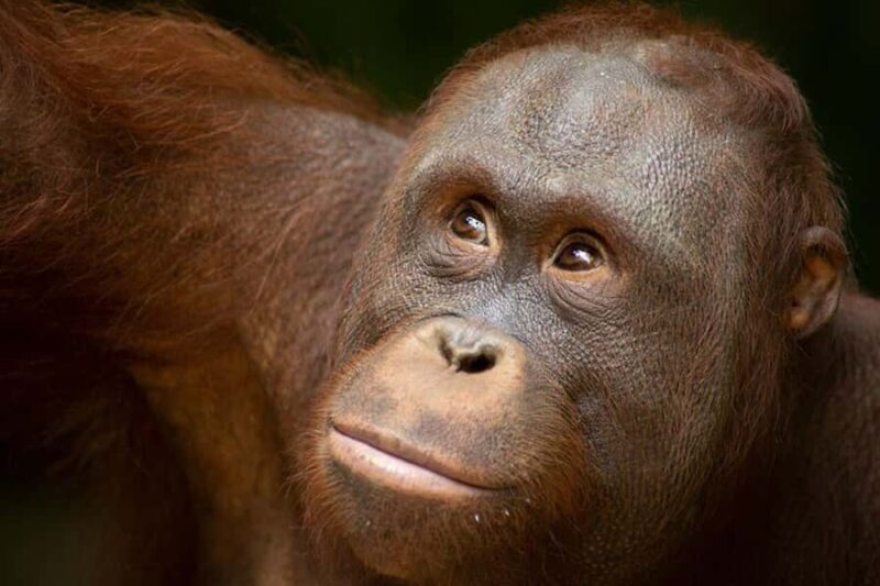 Lombok Wildlife Park: Admission Ticket - FAQ