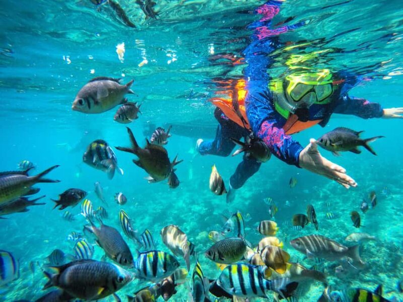 Lombok:Private Snorkeling Gili Nanggu,Gili Kedis,Gili Sudak - Key Points