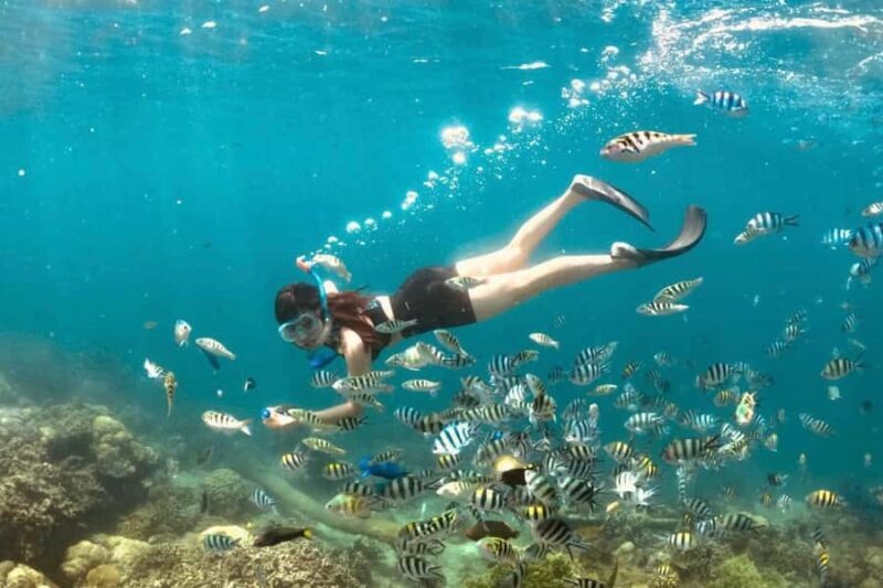 Lombok:Private Snorkeling Gili Nanggu,Gili Kedis,Gili Sudak - Practical Tips for Travelers